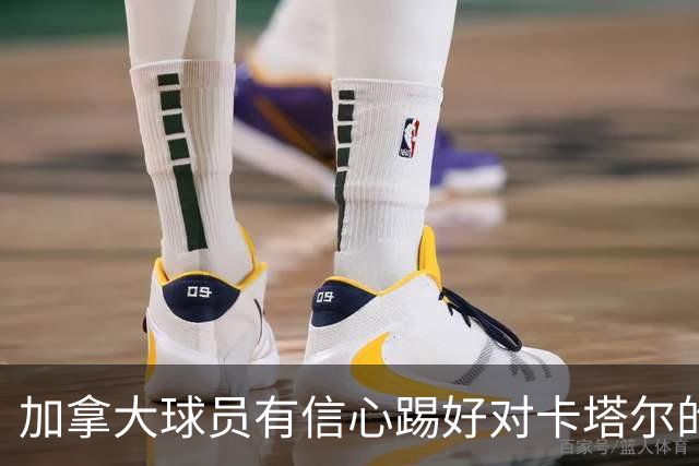 加拿大球员有信心踢好对卡塔尔的比赛，主帅透露戴维斯有望出场