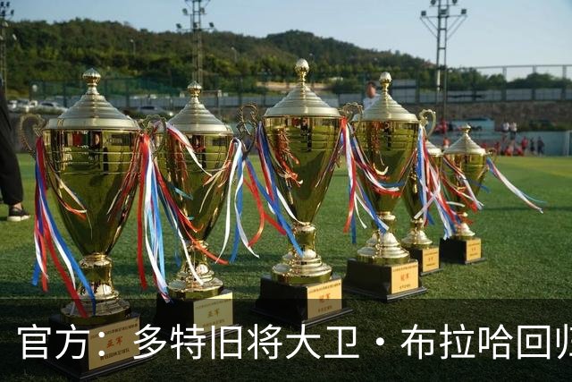 官方：多特旧将大卫·布拉哈回归俱乐部，担任体育总监助理