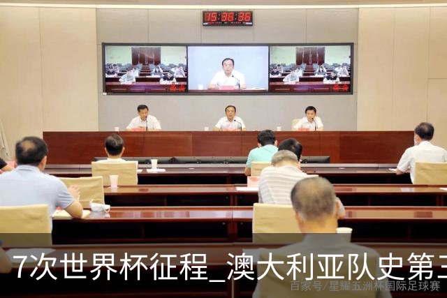 7次世界杯征程 澳大利亚队史第三次小组赛出线